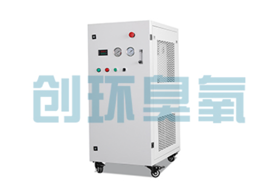 辽源石斑鱼养殖水质调控完整指南：臭氧发生器配置与操作步骤