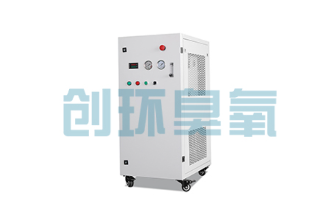 辽源比传统换水更高效？臭氧发生器在石斑鱼养殖中的水质净化原理解析