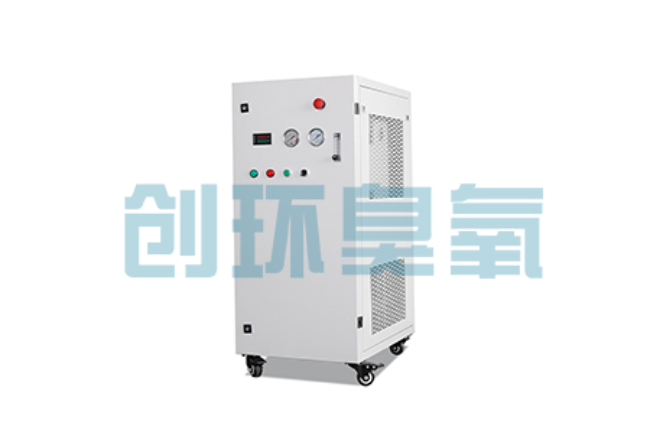 辽源比传统换水更高效？臭氧发生器在石斑鱼养殖中的水质净化原理解析